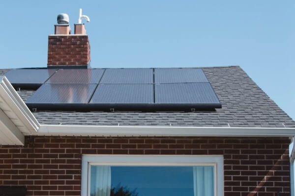 LOCAL PEST CONTROL, Hertfordshire. Services: Solar Panel Bird Proofing. Safeguard Your Solar Investment: Expert Bird Proofing in Hertfordshire